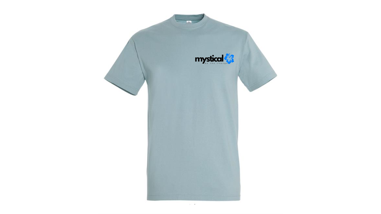 MENS ESSENTIALS T-SHIRT