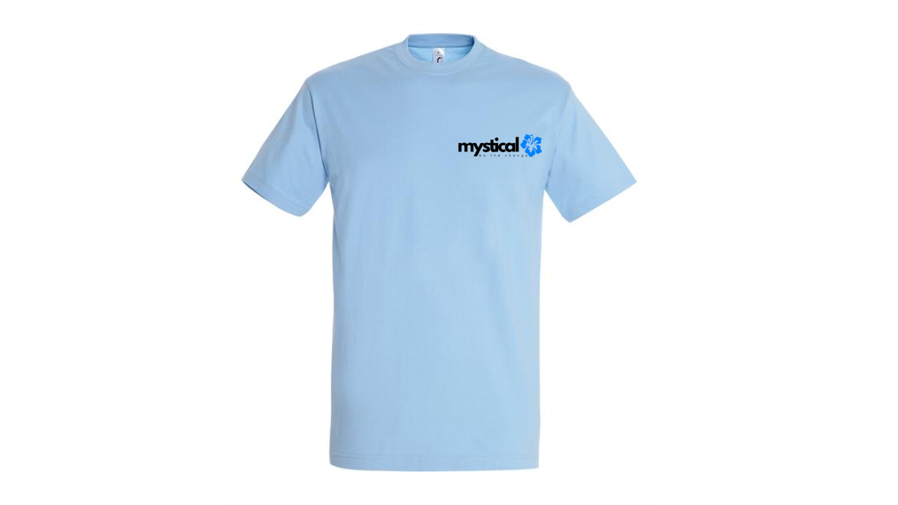 MENS ESSENTIALS T-SHIRT