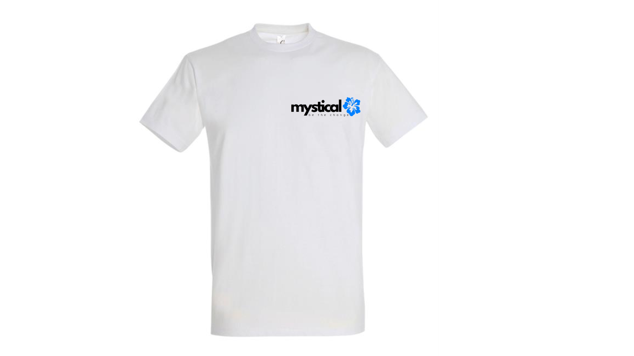 MENS ESSENTIALS T-SHIRT